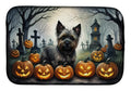 Dog surrounded by Halloween pumpkins and tombstones in a dark forest setting