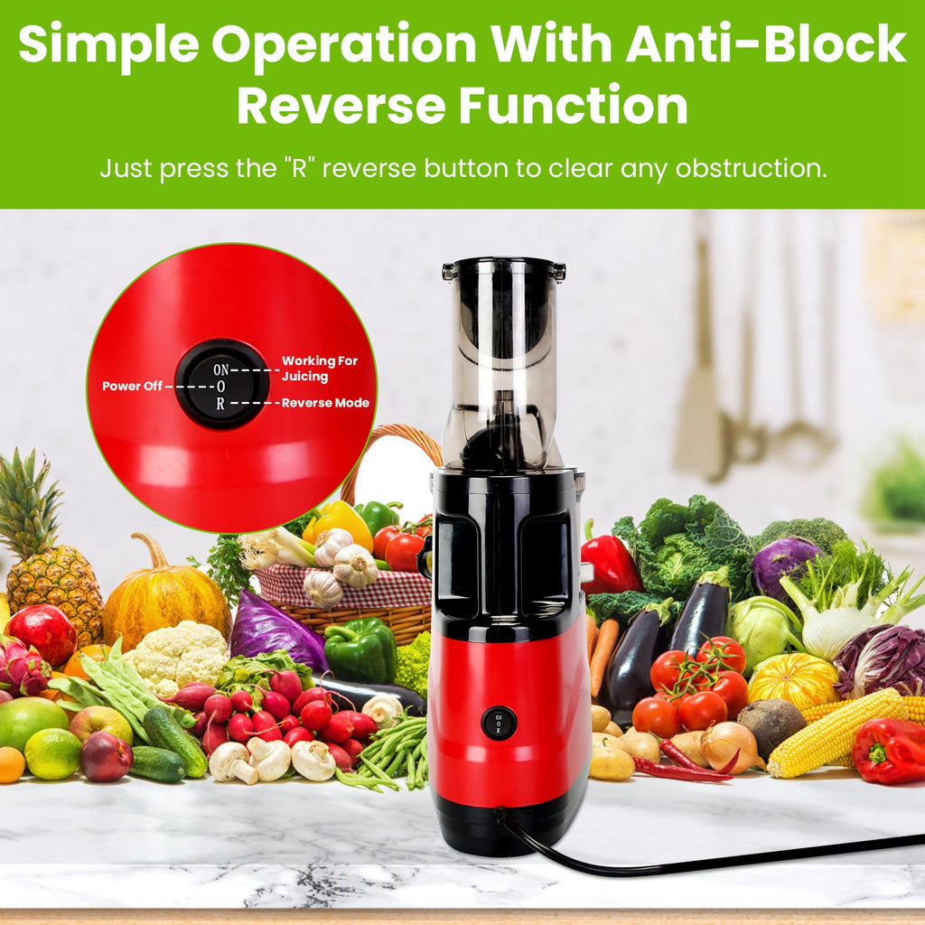 Red and black handheld juicer with vegetables and fruits on a white background